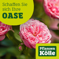 Pflanzen Kölle bild