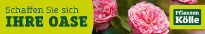Pflanzen Kölle